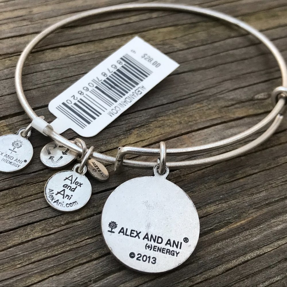 Alex and Ani Bracelet Silver Tone Zodiac AQUARIUS - Picture 5 of 6